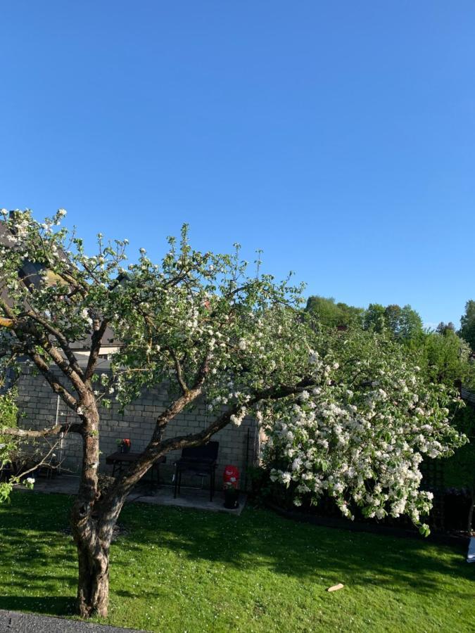 Mooni Cottage Παρνού Εξωτερικό φωτογραφία